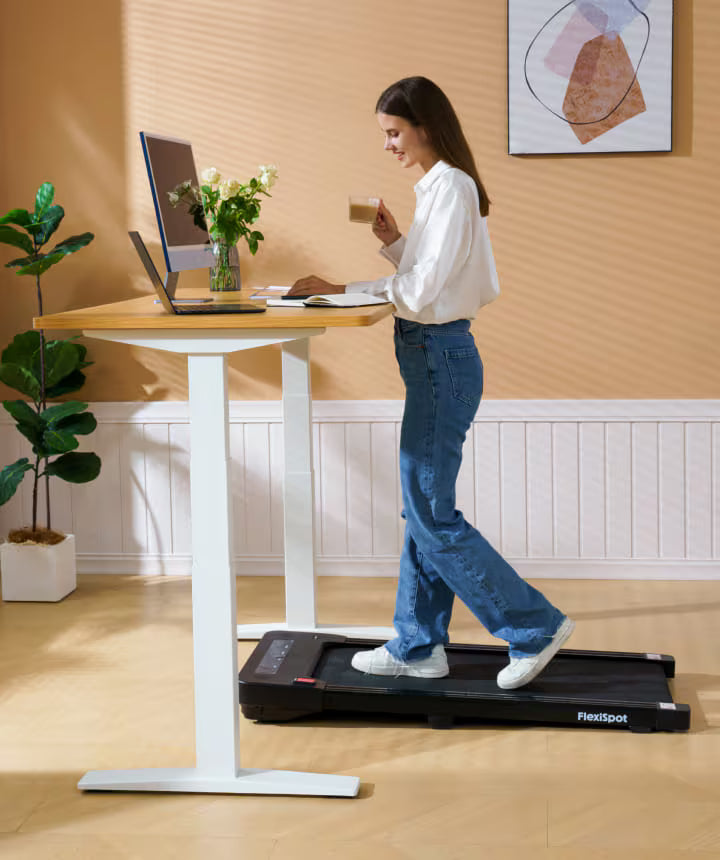 Flexispot E7 Pro - Bureau Assis-Debout Électrique Premium