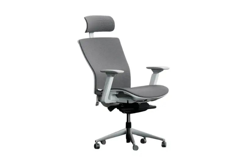 Autonomous ErgoChair Pro